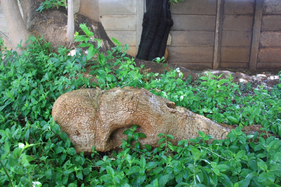 5 Bedroom Property for Sale in Universitas Free State